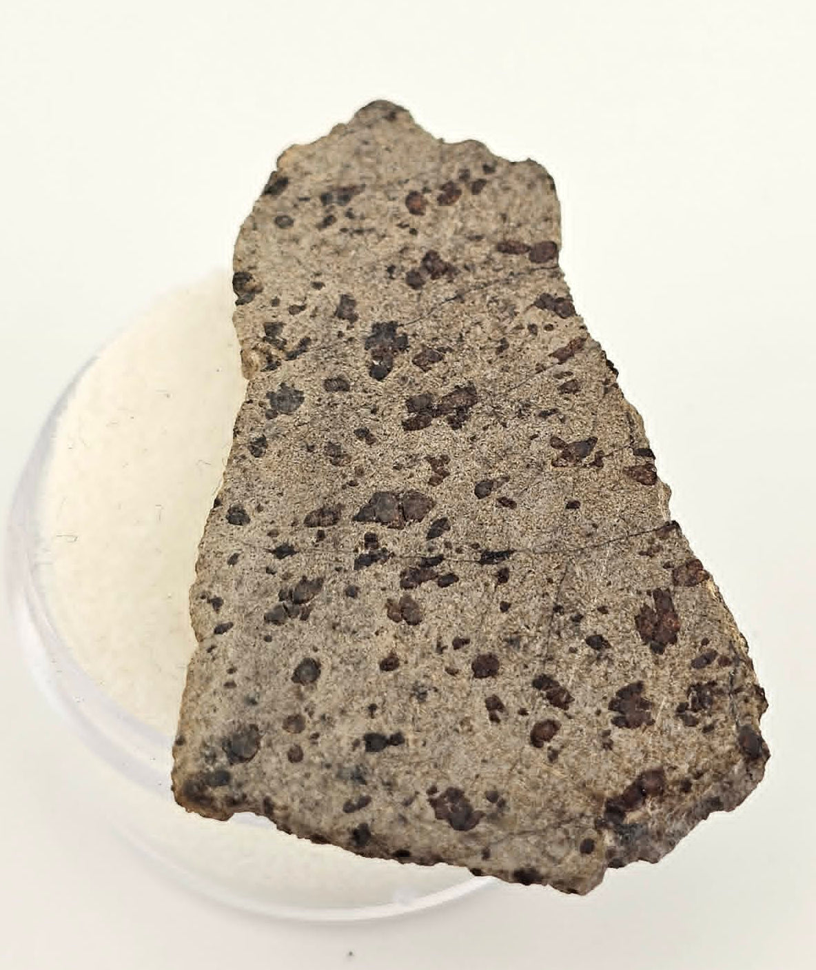 Tarkint 001 Martian Shergottite 4.8g Polished Complete Slice