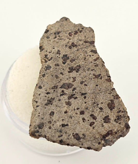 Tarkint 001 Martian Shergottite 4.8g Polished Complete Slice
