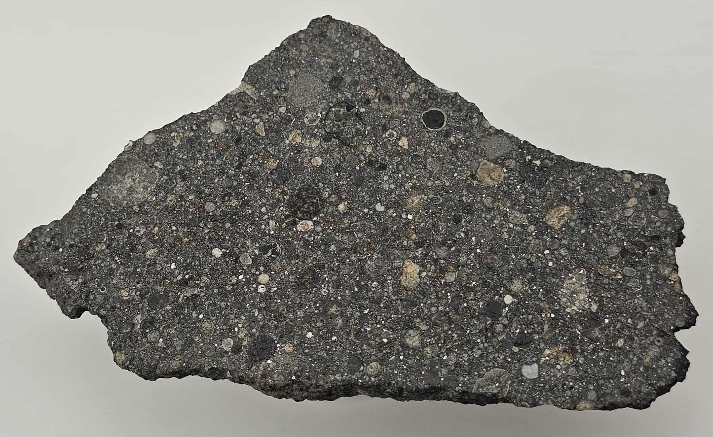 Taoussat-n-Amouzzour 001 - OC Meteorite L3.2 Polished Slice with Crust - 19.77g