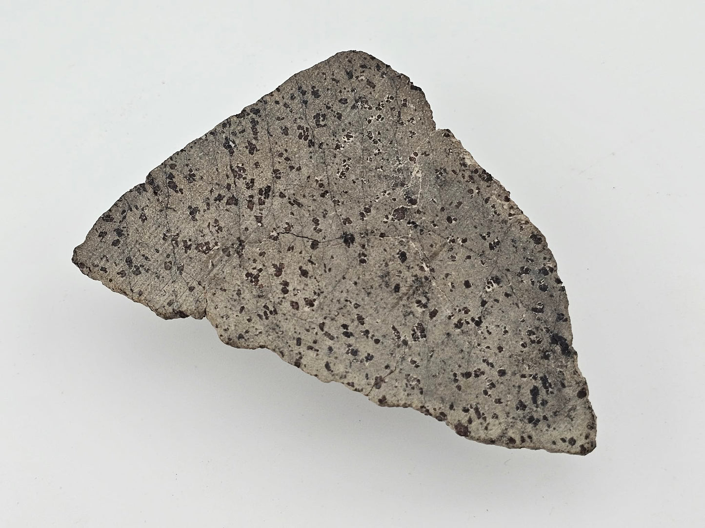 Tarkint 001 Martian Shergottite 17.6g Polished Complete Slice