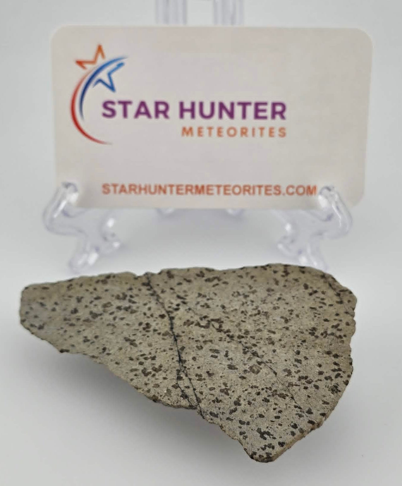 Tarkint 001 Martian Shergottite 29.4g Polished Complete Slice