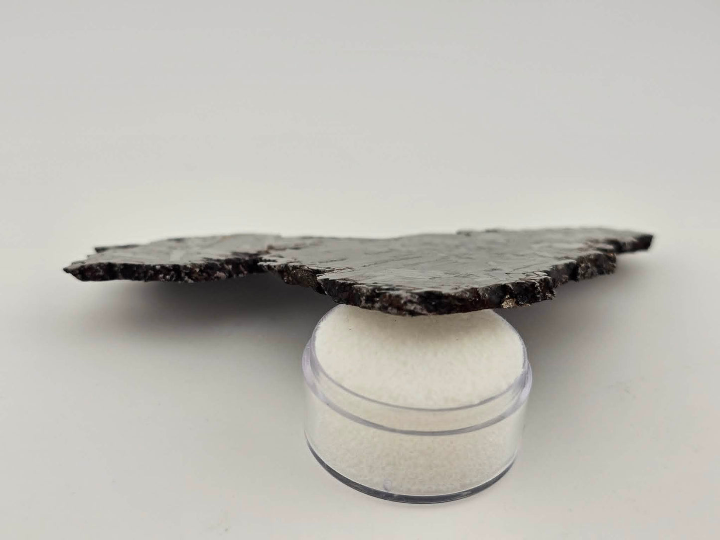 KAALIJARV - Iron Meteorite (IAG-MG) Slice from the Crater Field in Estonia 69.3g