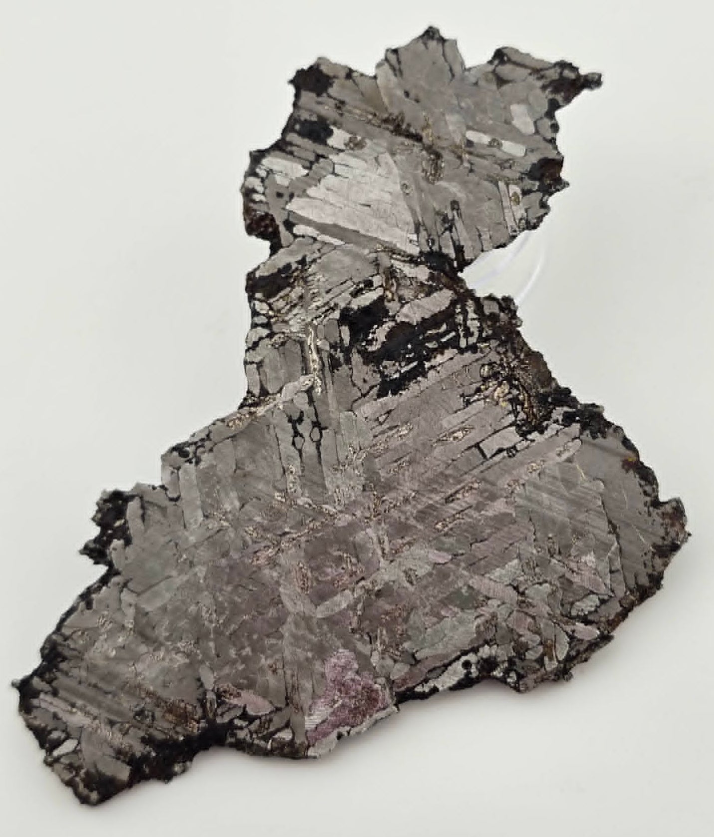 KAALIJARV - Iron Meteorite (IAG-MG) Slice from the Crater Field in Estonia 69.3g