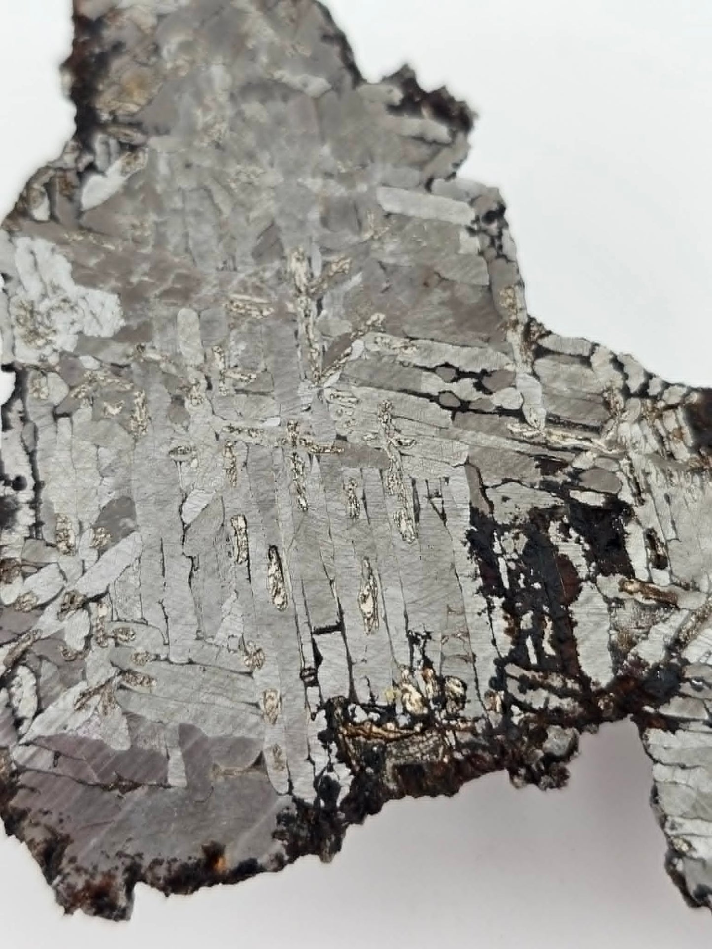 KAALIJARV - Iron Meteorite (IAG-MG) Slice from the Crater Field in Estonia 69.3g