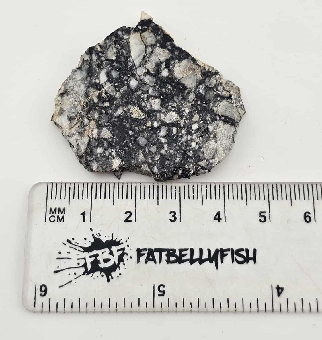NWA 15629 Mingled Feldspathic Basalt Breccia 14.5g Slice