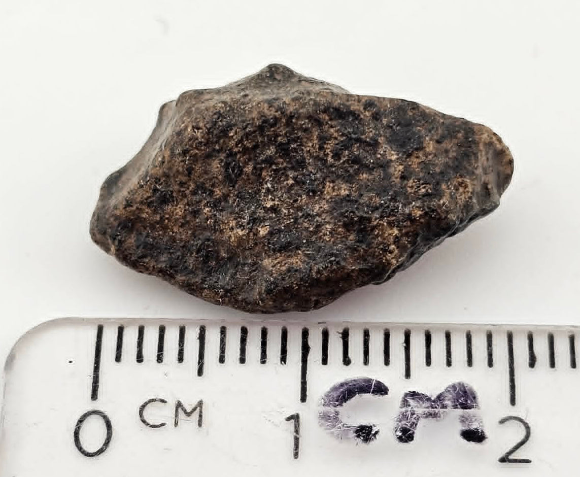 Amgala 001 - Martian Shergottite - 2.97 gram individual