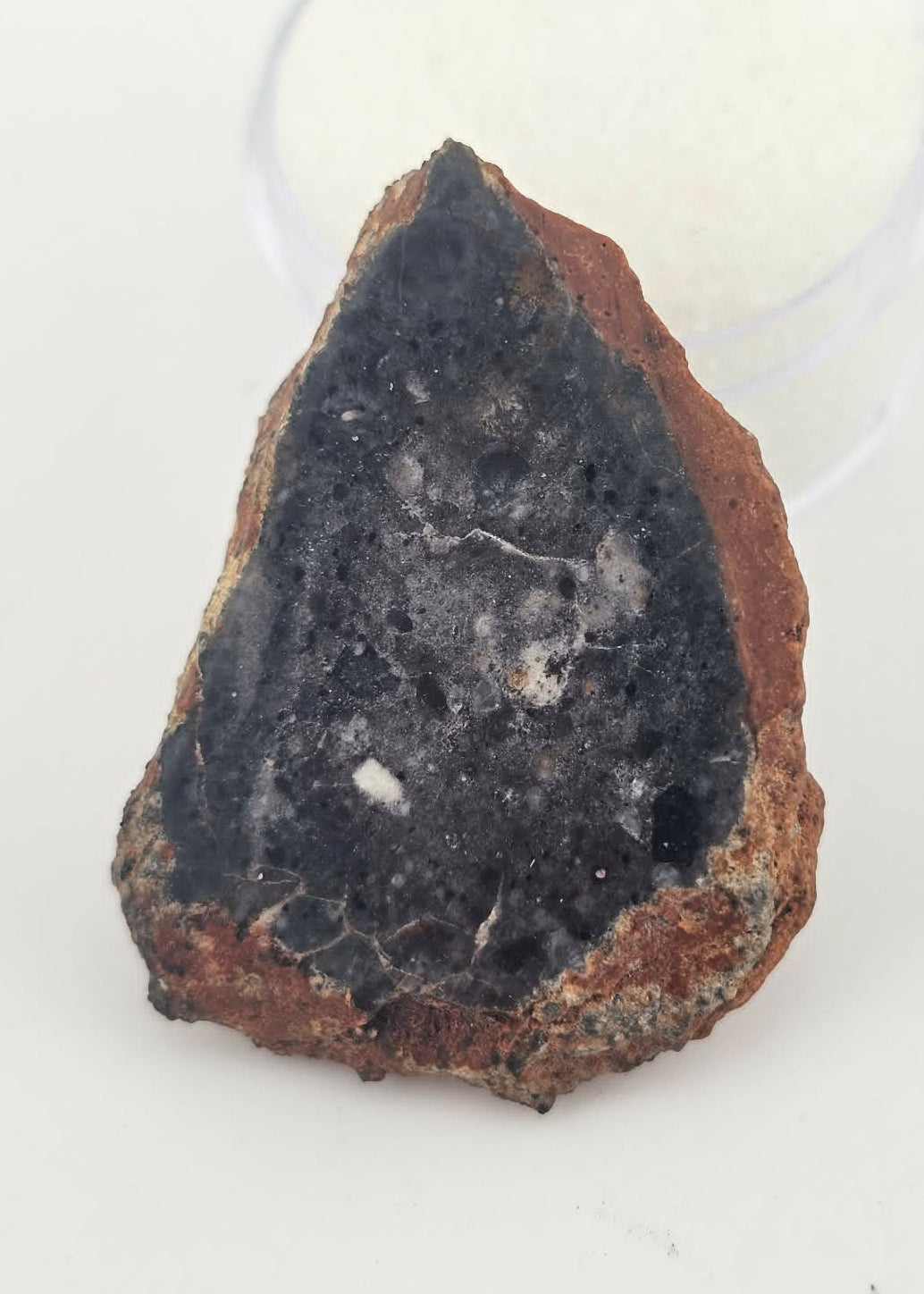 Bechar 003 Polished End Cut Lunar Felspathic Breccia Meteorite 10.6