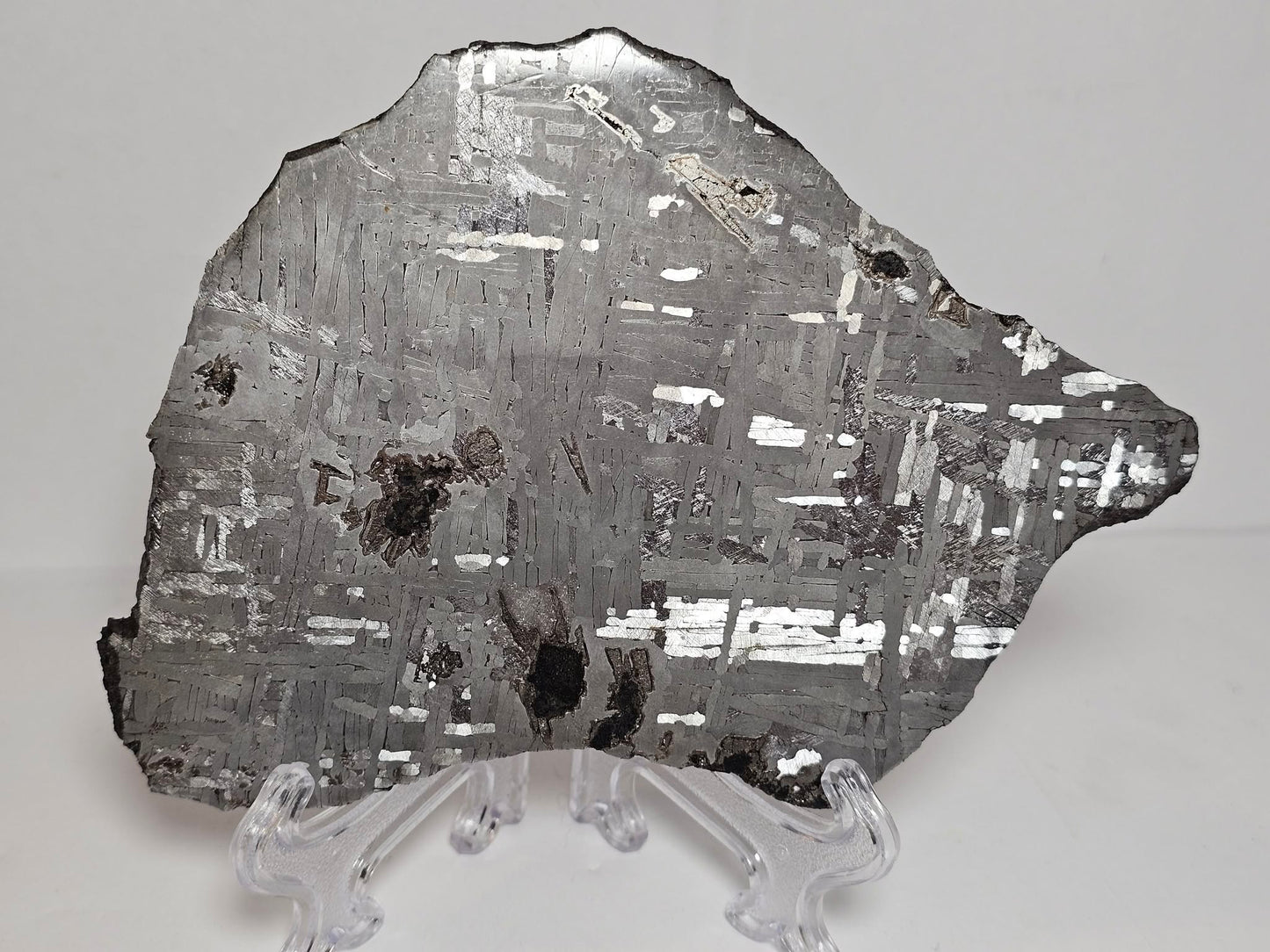 Hickman - Australian Iron Meteorite Etched Polished Slice 194.8
