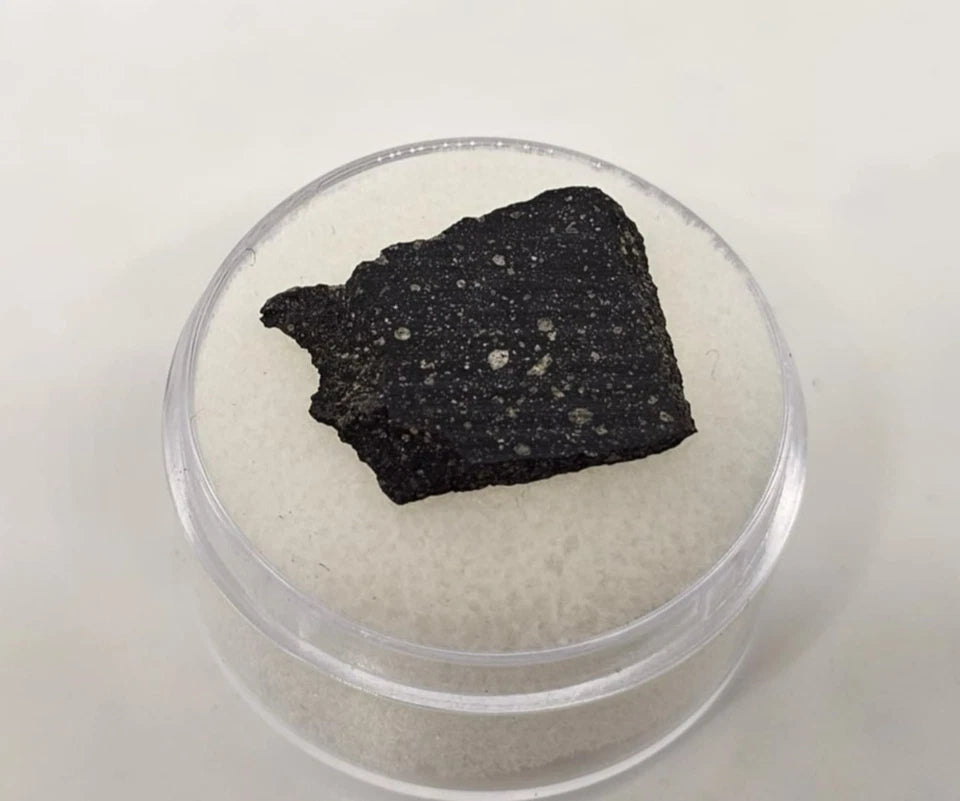 Murchison Carbonaceous Chondrite CM2 Meteorite Slice Fragment .906