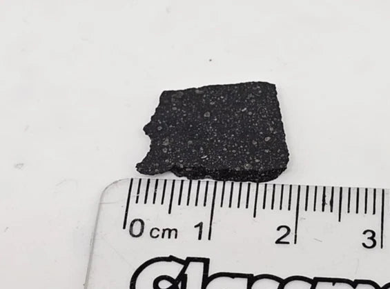 Murchison Carbonaceous Chondrite CM2 Meteorite Slice Fragment .906