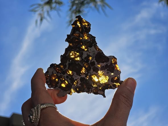 Imilac Pallasite Meteorite Etched Slice - 45.2 grams (Santos)