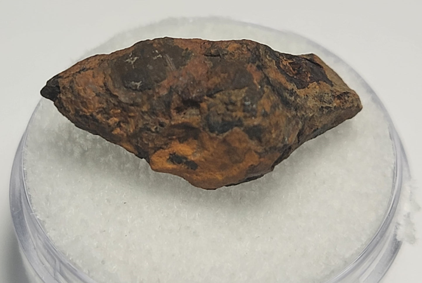 Twannberg IIG Iron Meteorite Bern, Switzerland - Individual - 4.45g