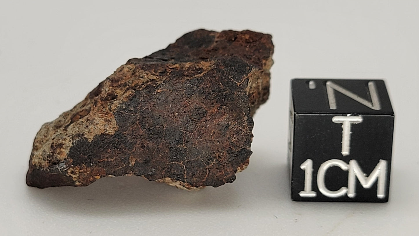 Holbrook Crusted Meteorite Fragment Navajo County, Arizona Witnessed Fall - 8.4g