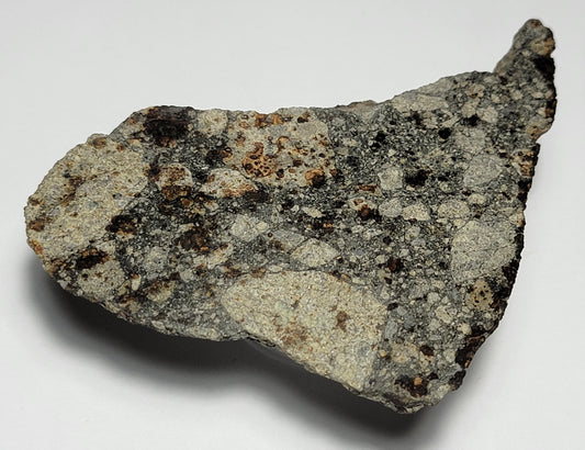 NWA 15376 Meteorite Sliced Fragment Ordinary Chondrite LL3-6 - 24.43g