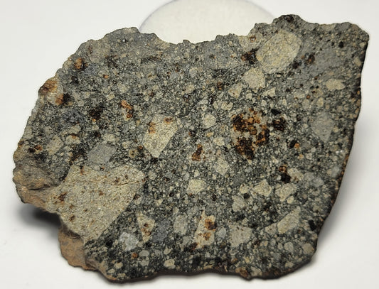 NWA 15376 Meteorite Sliced Fragment Ordinary Chondrite LL3-6 - 25.9g