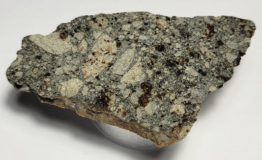 NWA 15376 Meteorite Sliced Fragment Ordinary Chondrite LL3-6 - 14.73g