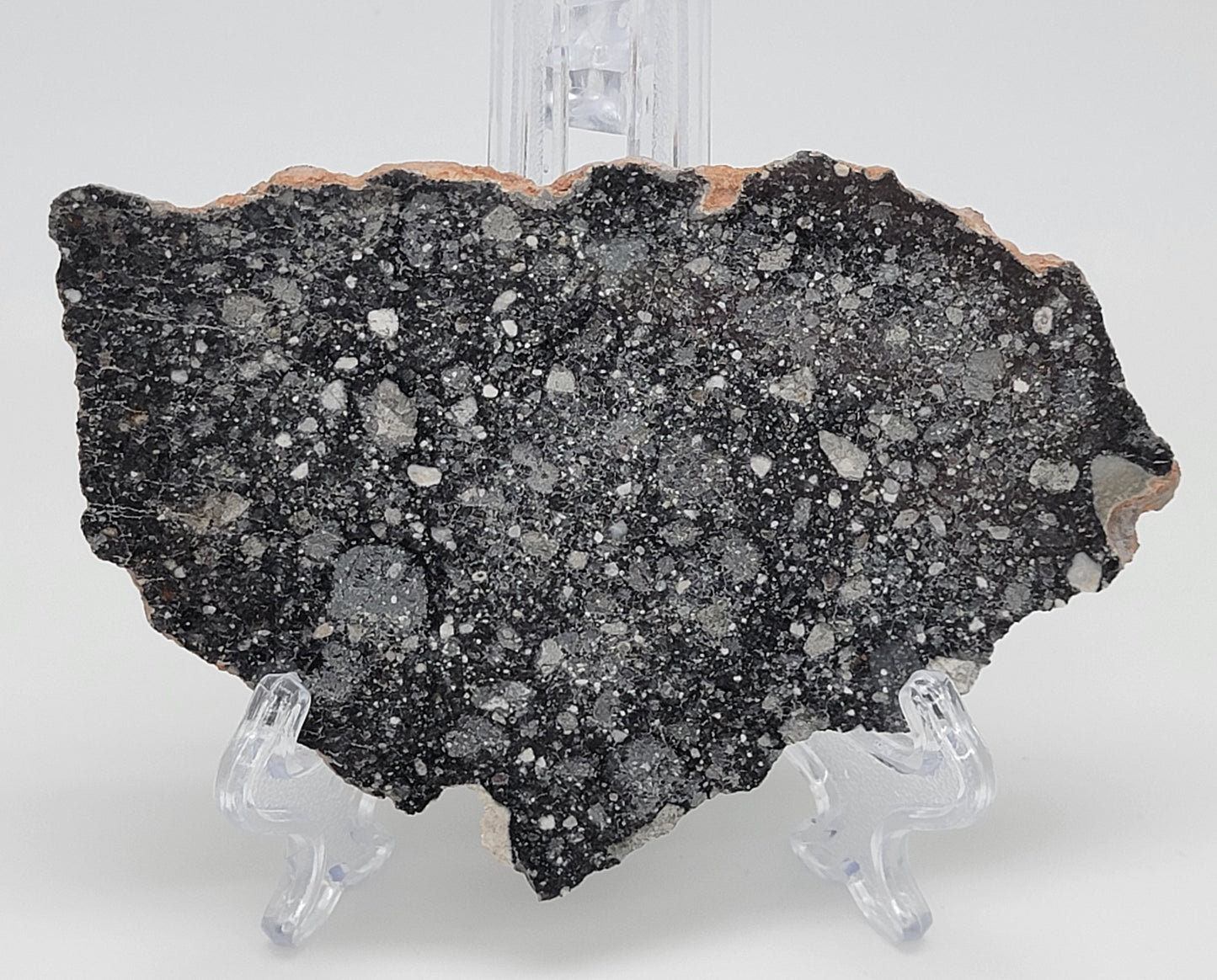 NWA 13951 "Starry Night" Polished Lunar Slice Feldspathic Breccia 36.3g