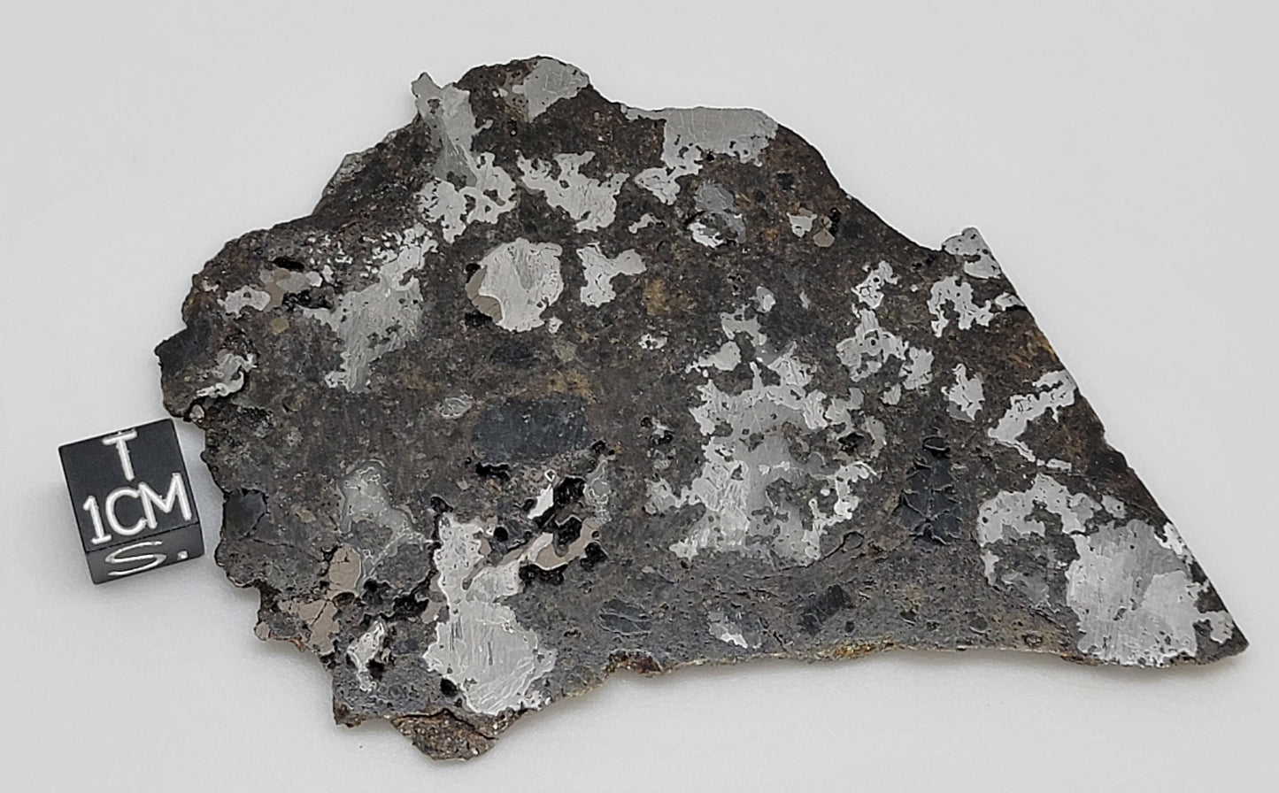 Estherville Mesosiderite Meteorite Slice - 53g