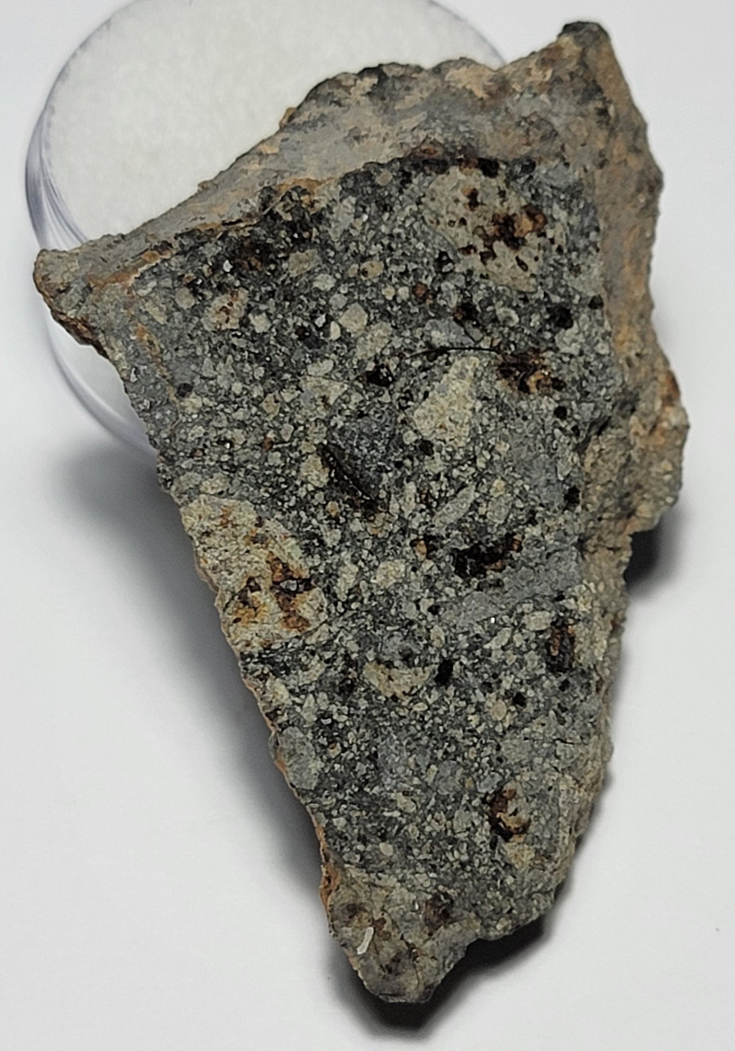 NWA 15376 Meteorite Sliced Fragment Ordinary Chondrite LL3-6 - 18.5g