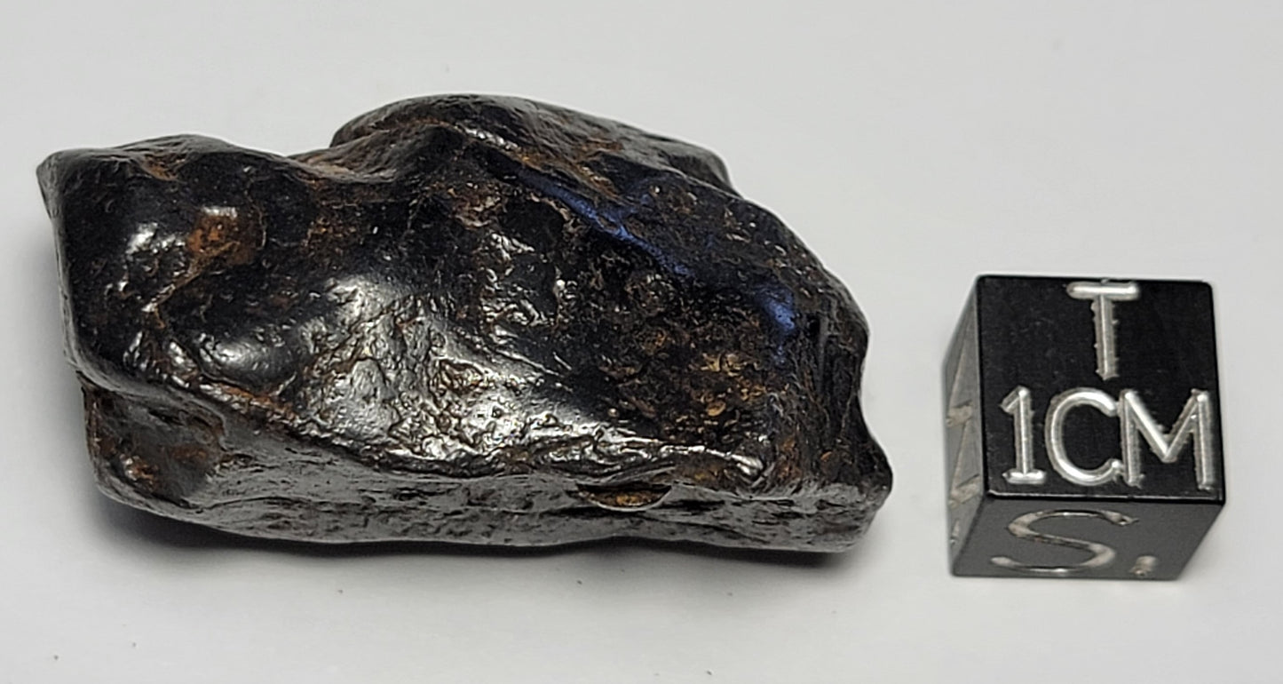 Canyon Diablo Iron Meteorite Lightly Cleaned Individual 45g