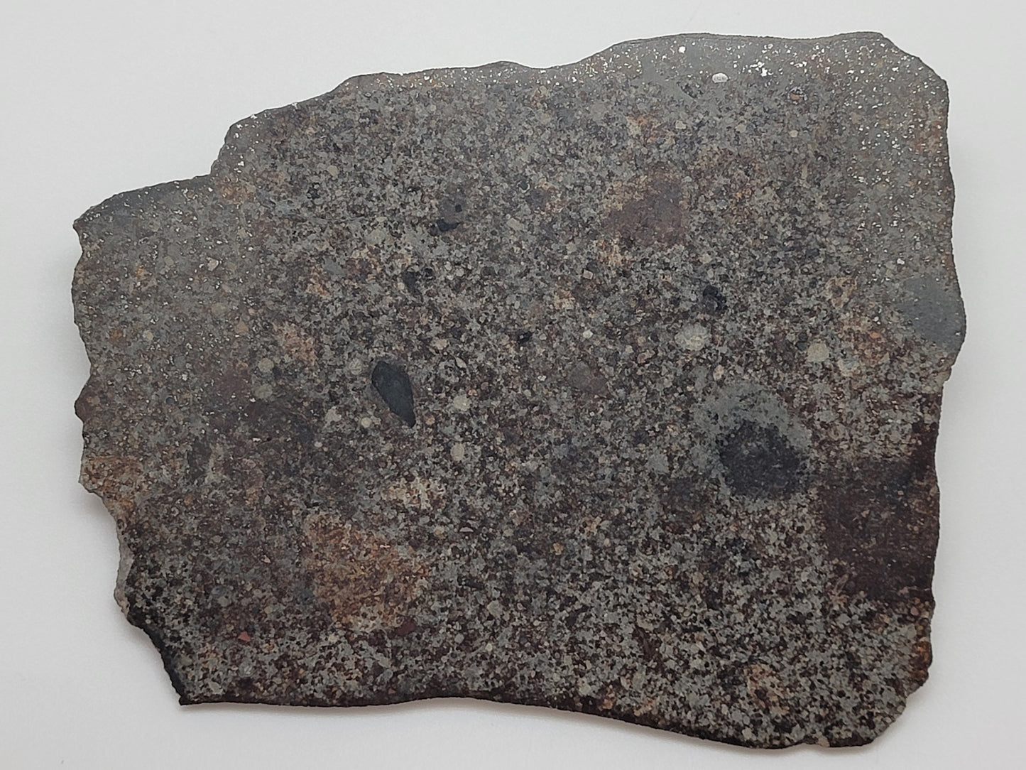 NWA 869 Sliced & Polished Chondrite Meteorite - 145g