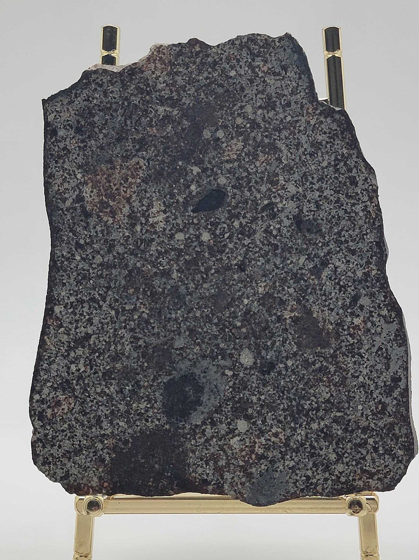 NWA 869 Sliced & Polished Chondrite Meteorite - 145g