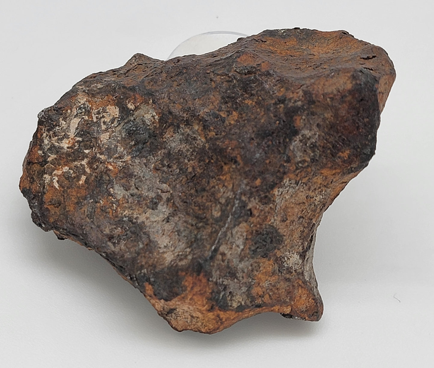 Canyon Diablo Iron Meteorite "As Found" Individual 313.6g