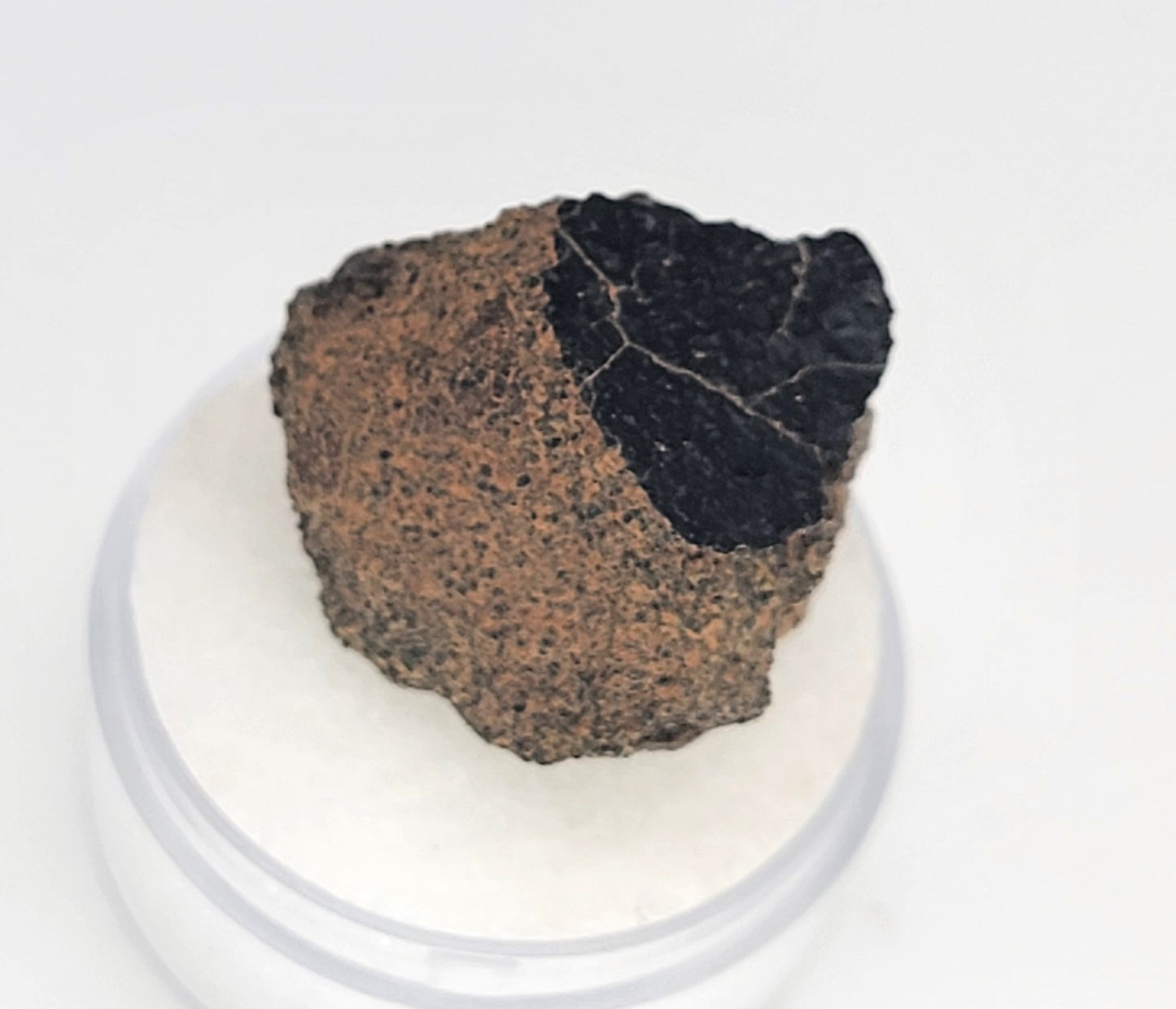 Crusted Martian Nakhlite Meteorite paired with NWA 10645 - 8.10g