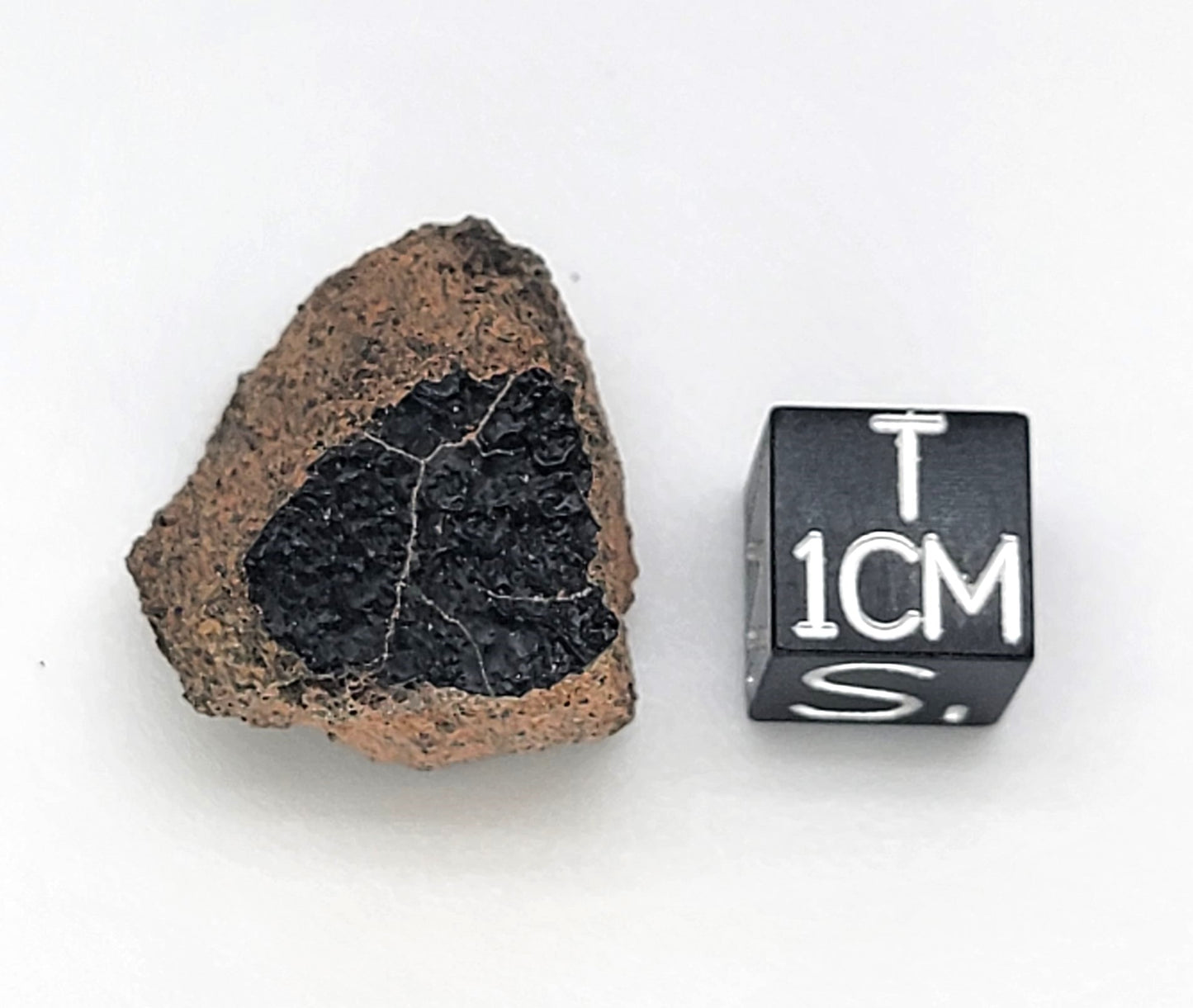 Crusted Martian Nakhlite Meteorite paired with NWA 10645 - 8.10g