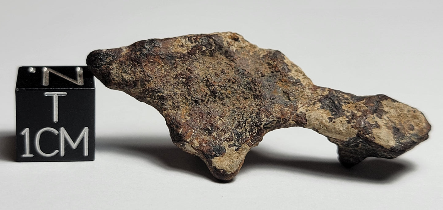 Agoudal Individual "As Found" Iron Meteorite 10.95g