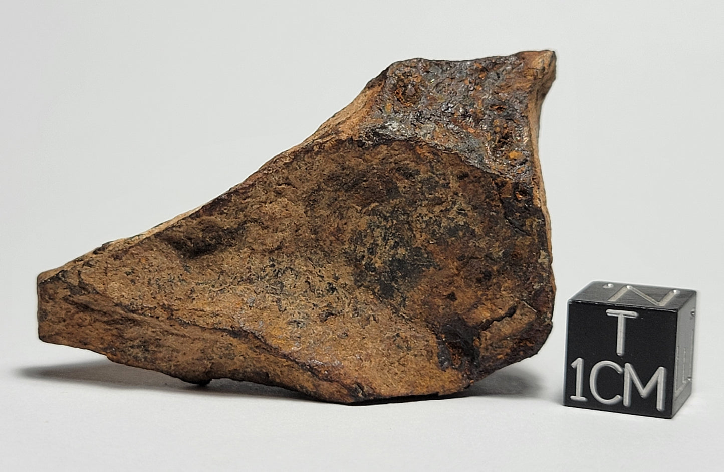 Agoudal Individual "As Found" Iron Meteorite 58.97g