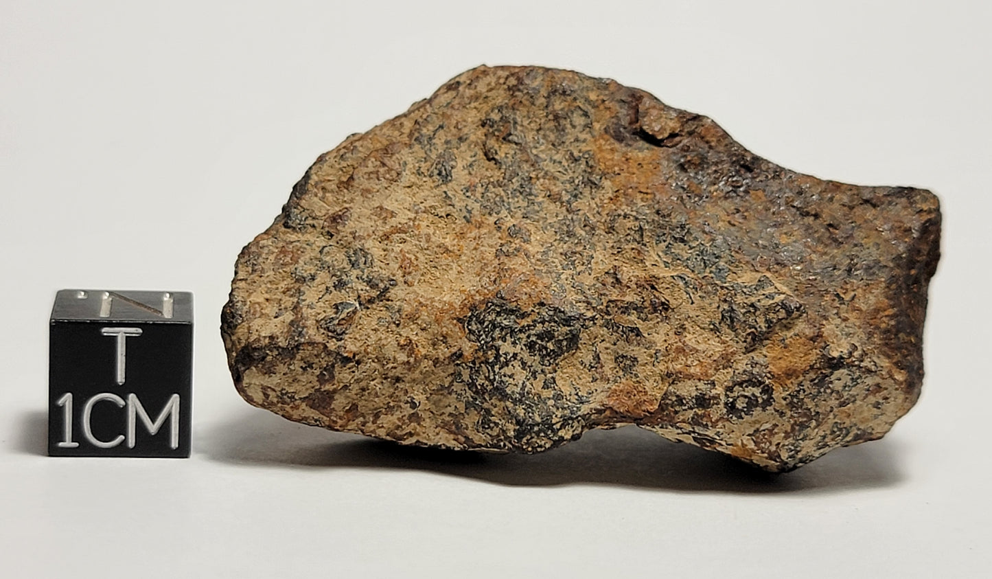 Agoudal Individual "As Found" Iron Meteorite 92.39g