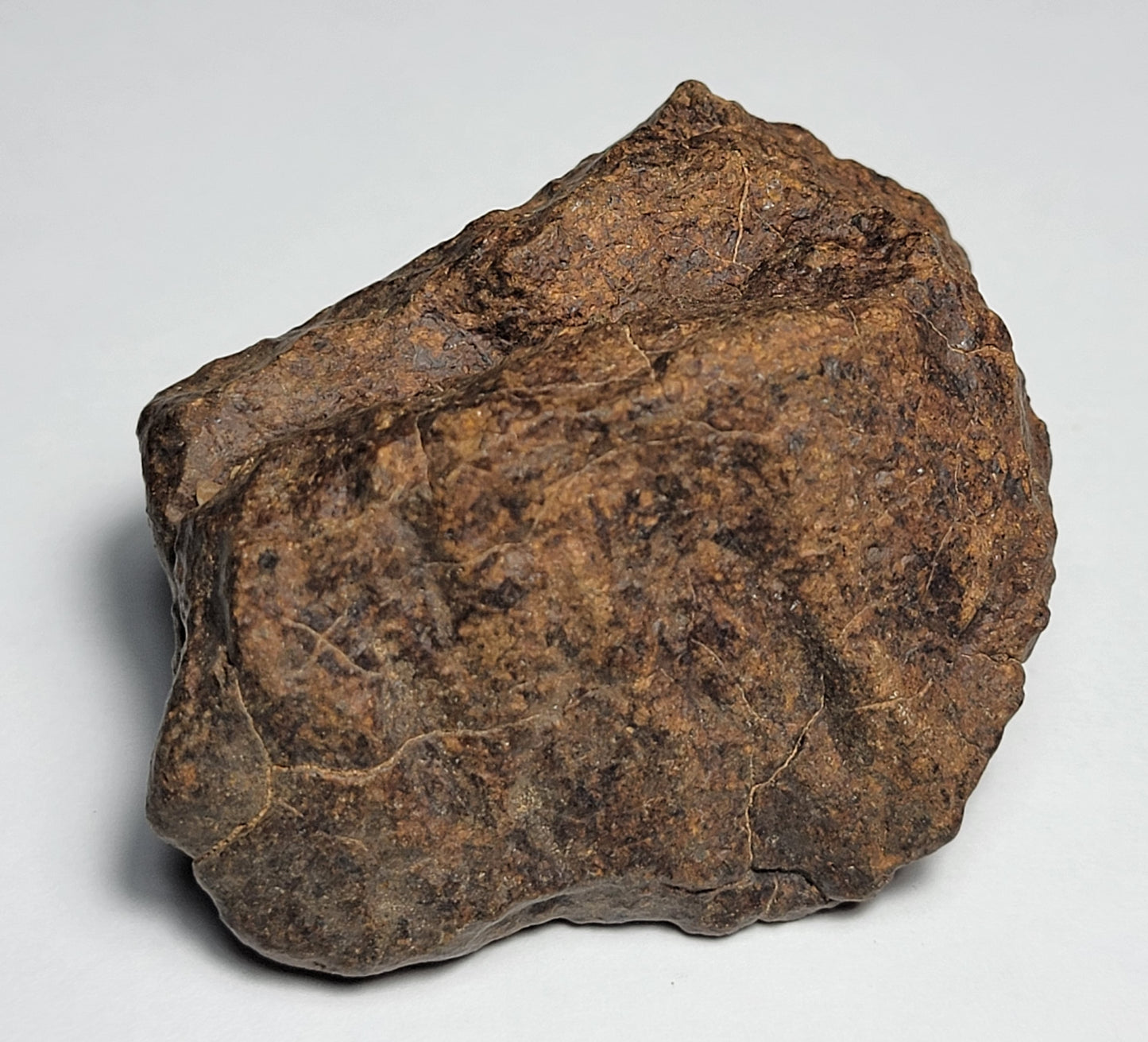 NWA 4528 Ordinary Chondrite H5 Meteorite 93.9g