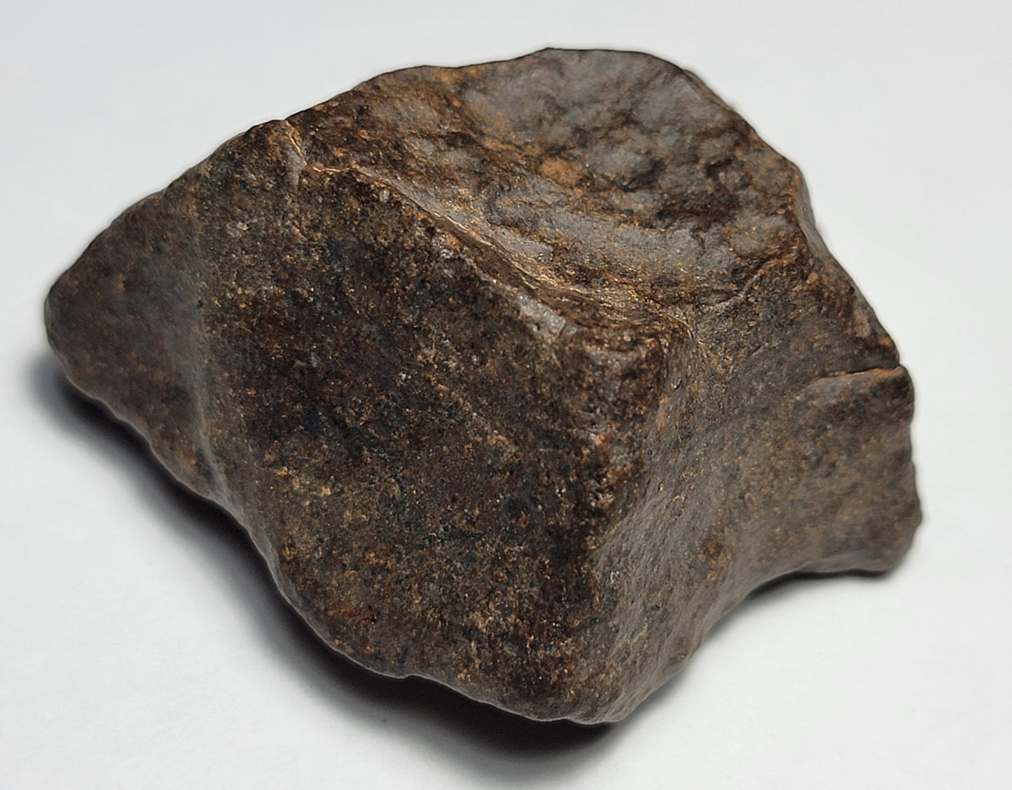 NWA 4528 Ordinary Chondrite H5 Meteorite 49g