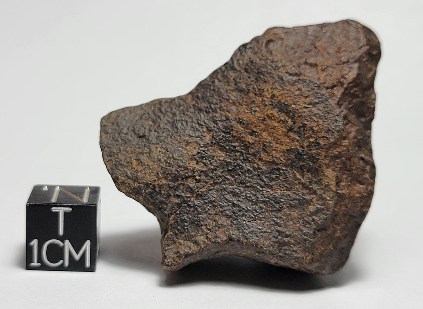 NWA 4528 Ordinary Chondrite H5 Meteorite 49g