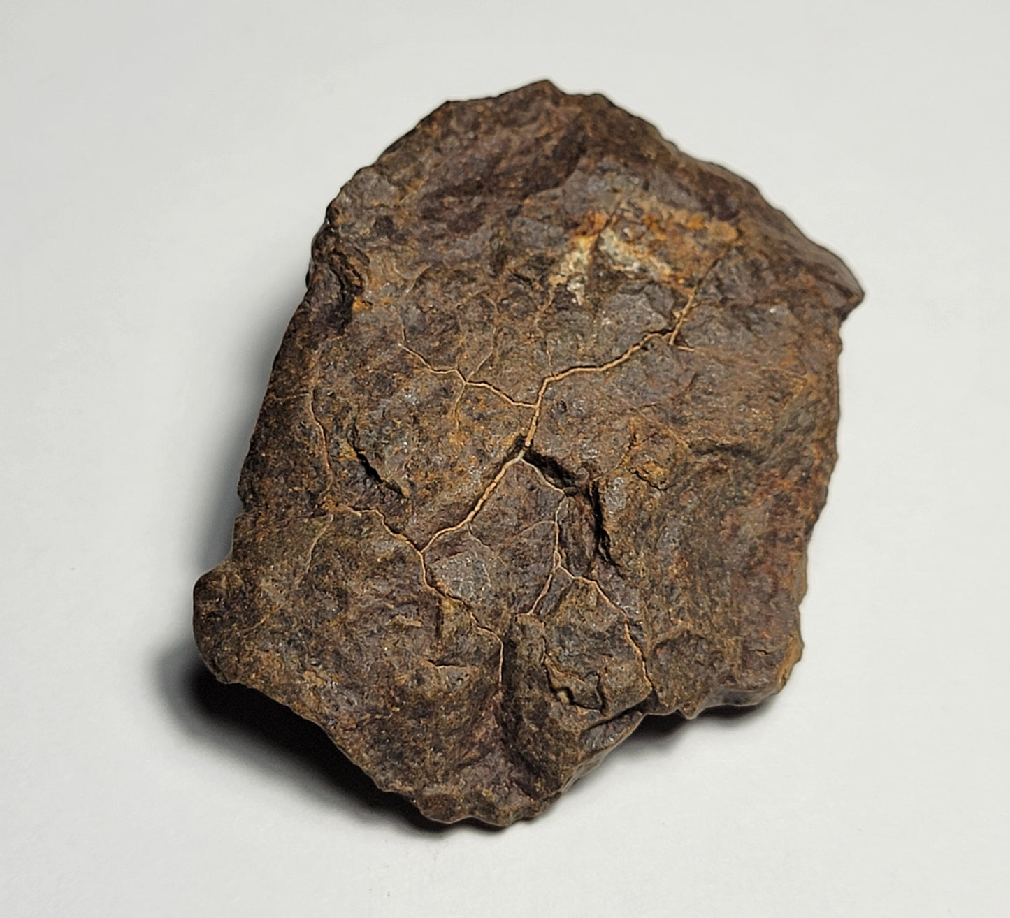 NWA 4528 Ordinary Chondrite H5 Meteorite 48.1g