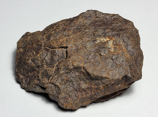 NWA 4528 Ordinary Chondrite H5 Meteorite 48.1g