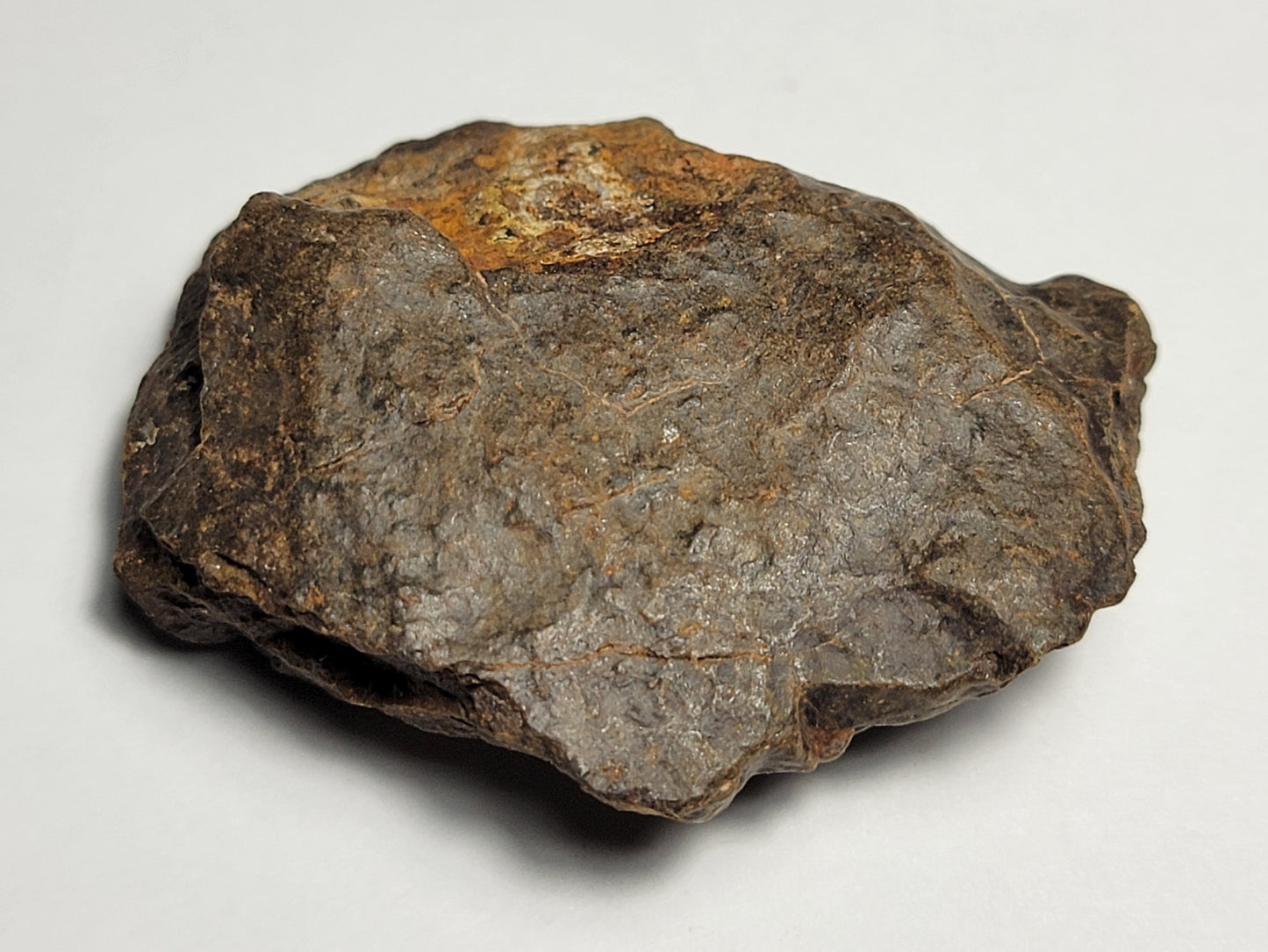 NWA 4528 Ordinary Chondrite H5 Meteorite 48.1g