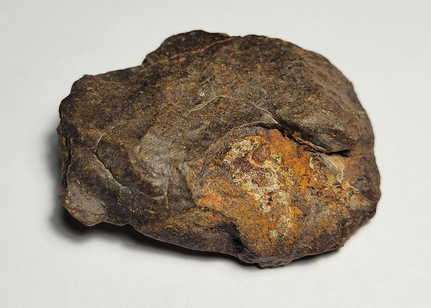 NWA 4528 Ordinary Chondrite H5 Meteorite 48.1g