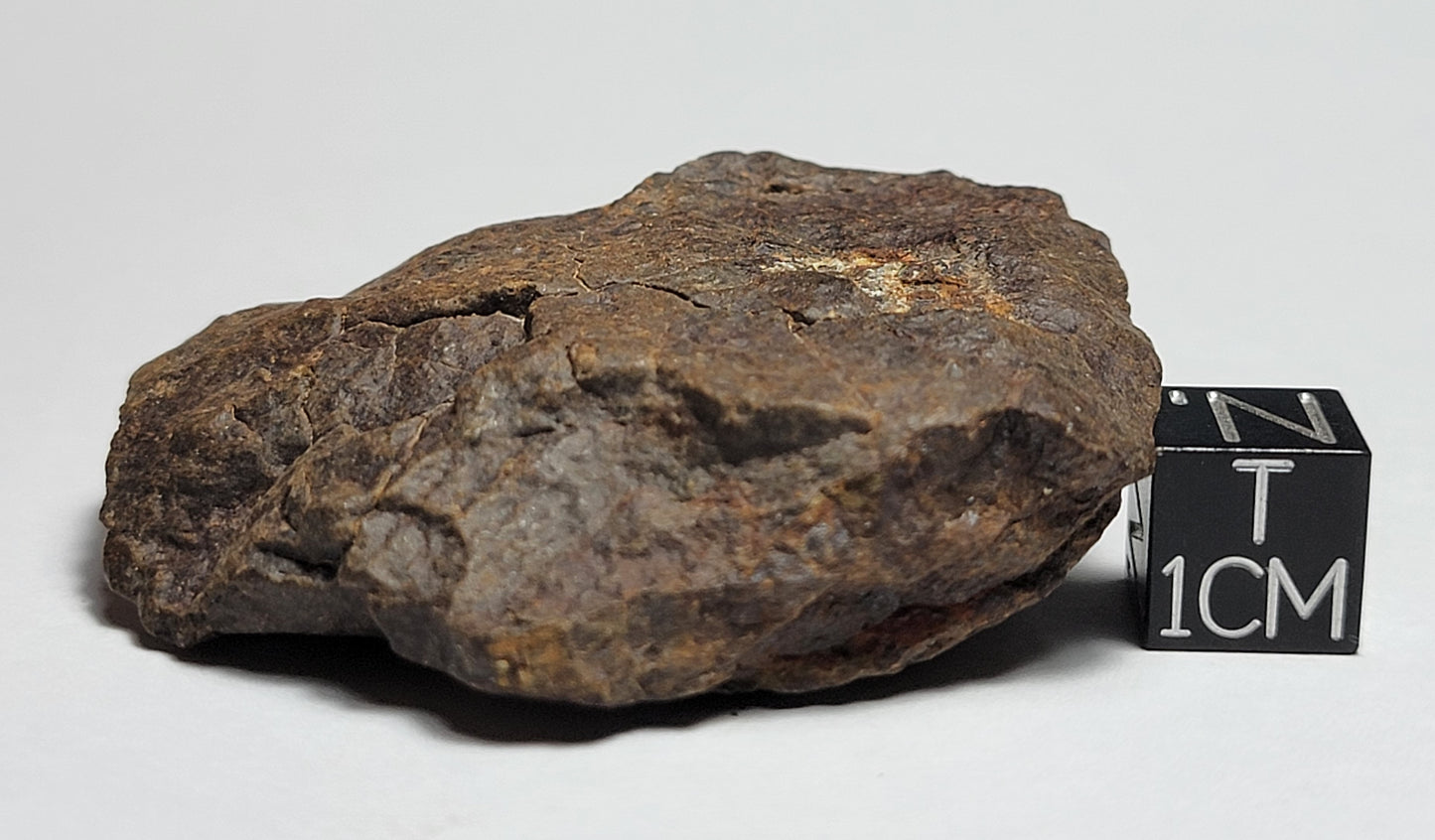 NWA 4528 Ordinary Chondrite H5 Meteorite 48.1g