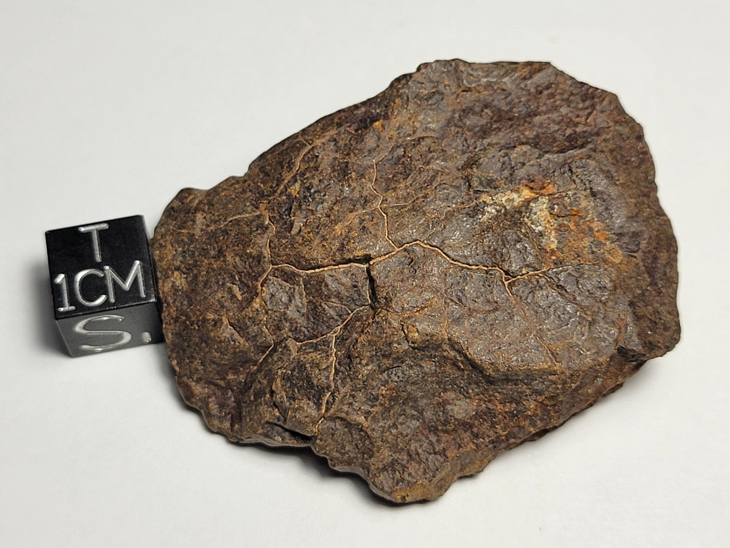 NWA 4528 Ordinary Chondrite H5 Meteorite 48.1g