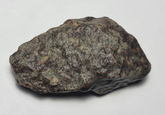 NWA 869 Ordinary Chondrite L3-6 Meteorite 20g