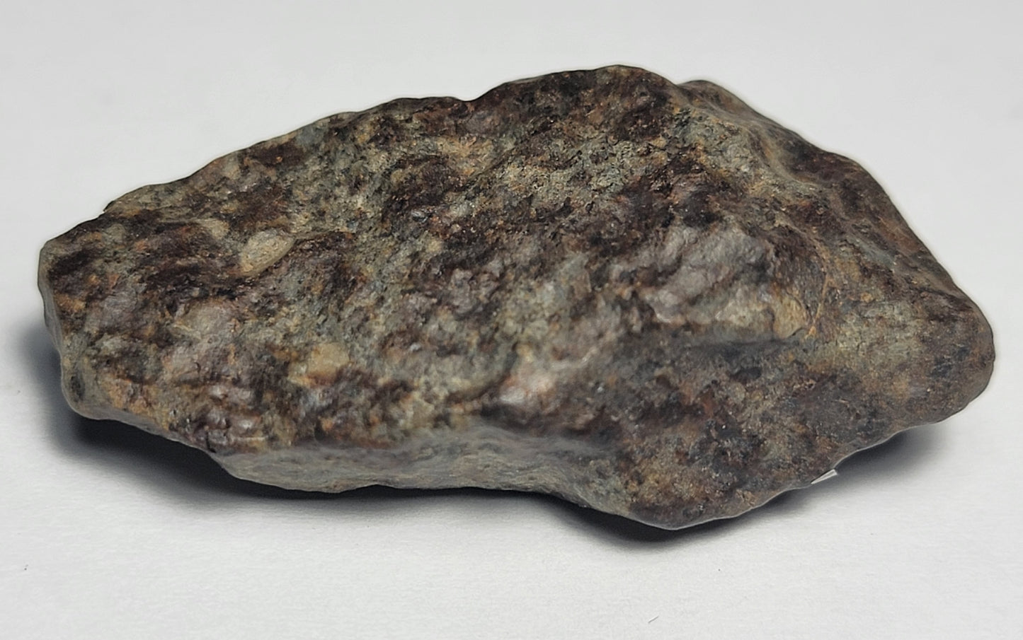 NWA 869 Ordinary Chondrite L3-6 Meteorite 20g