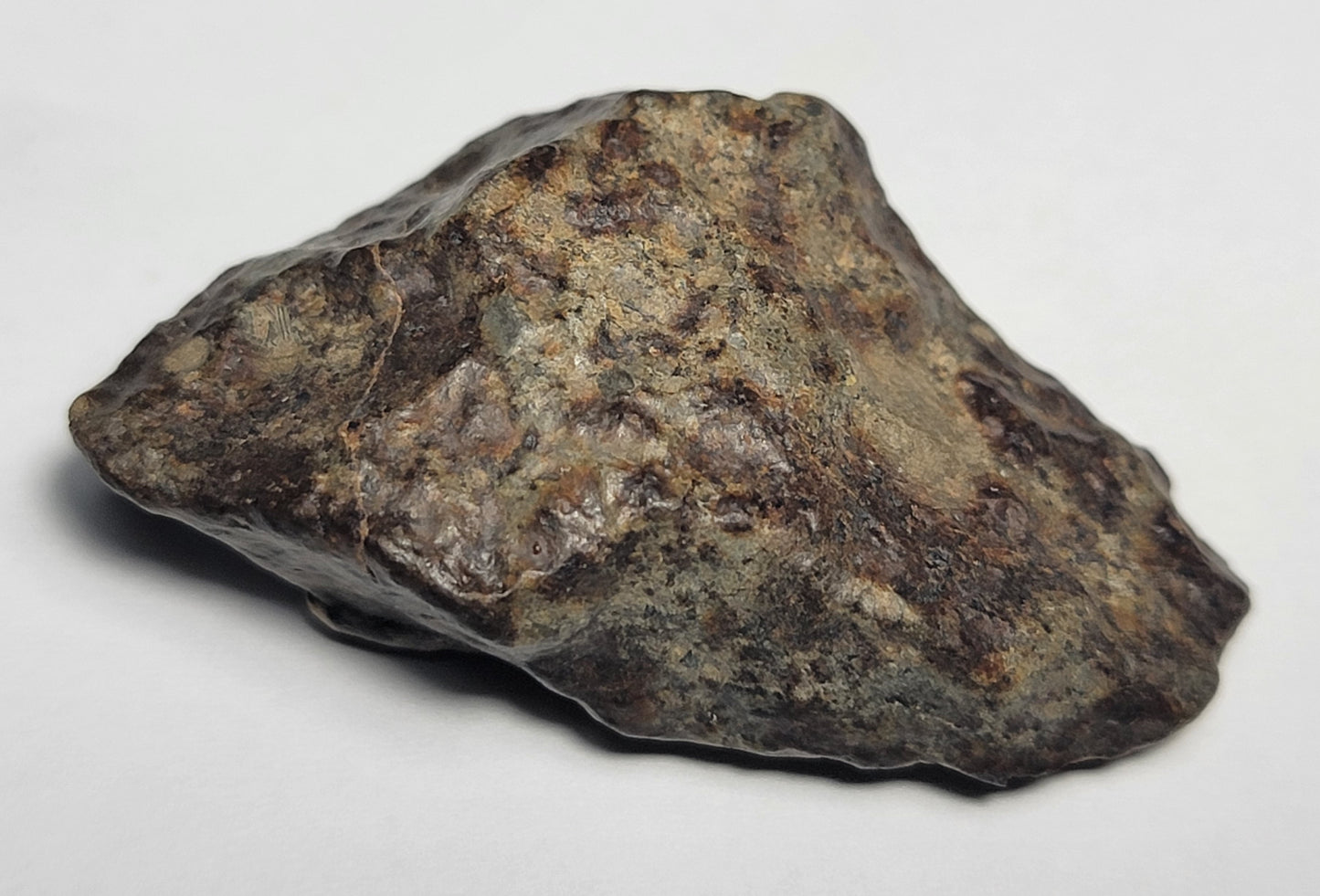 NWA 869 Ordinary Chondrite L3-6 Meteorite 20g