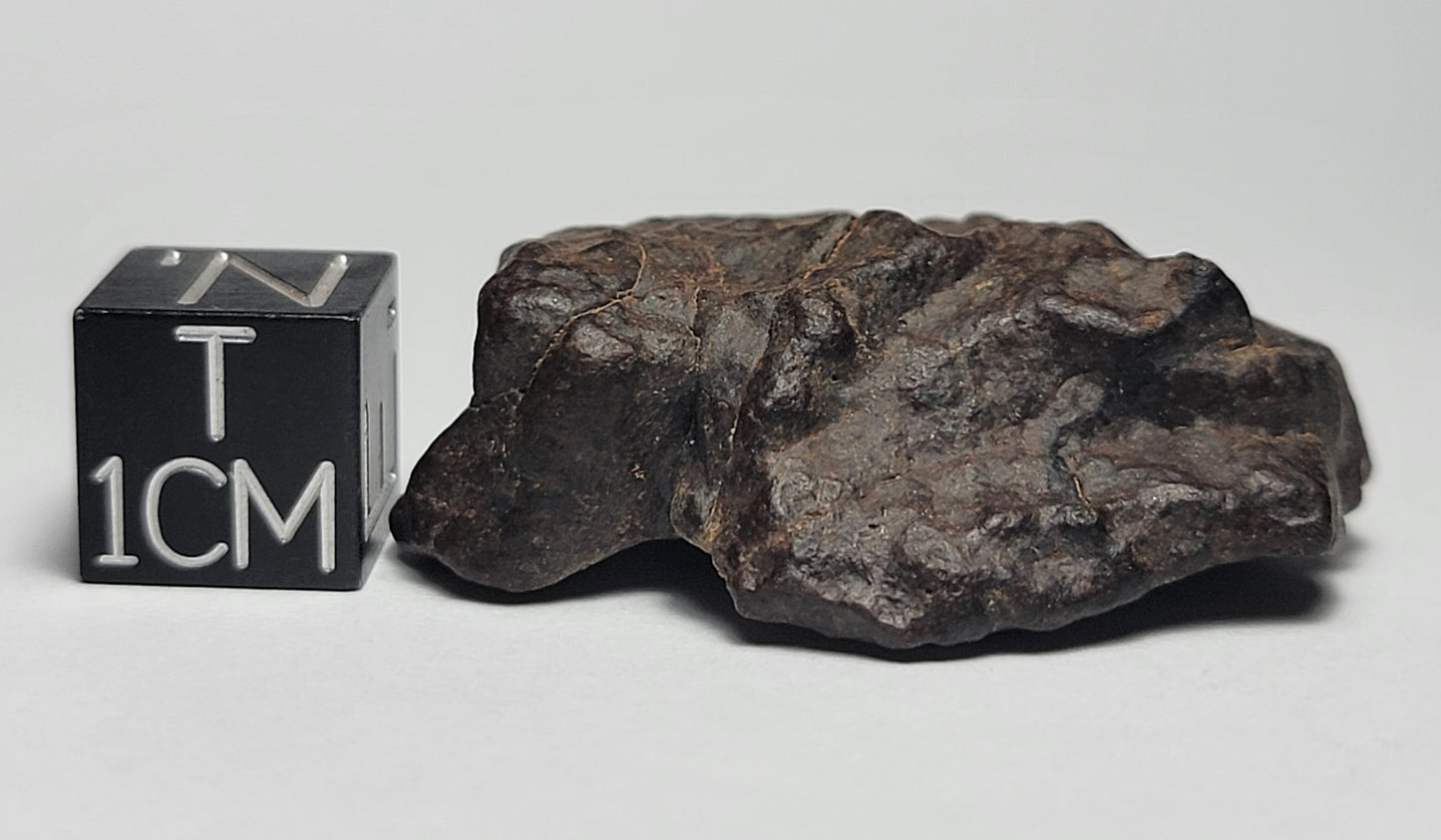 NWA 4528 Ordinary Chondrite H5 Meteorite 15.6g