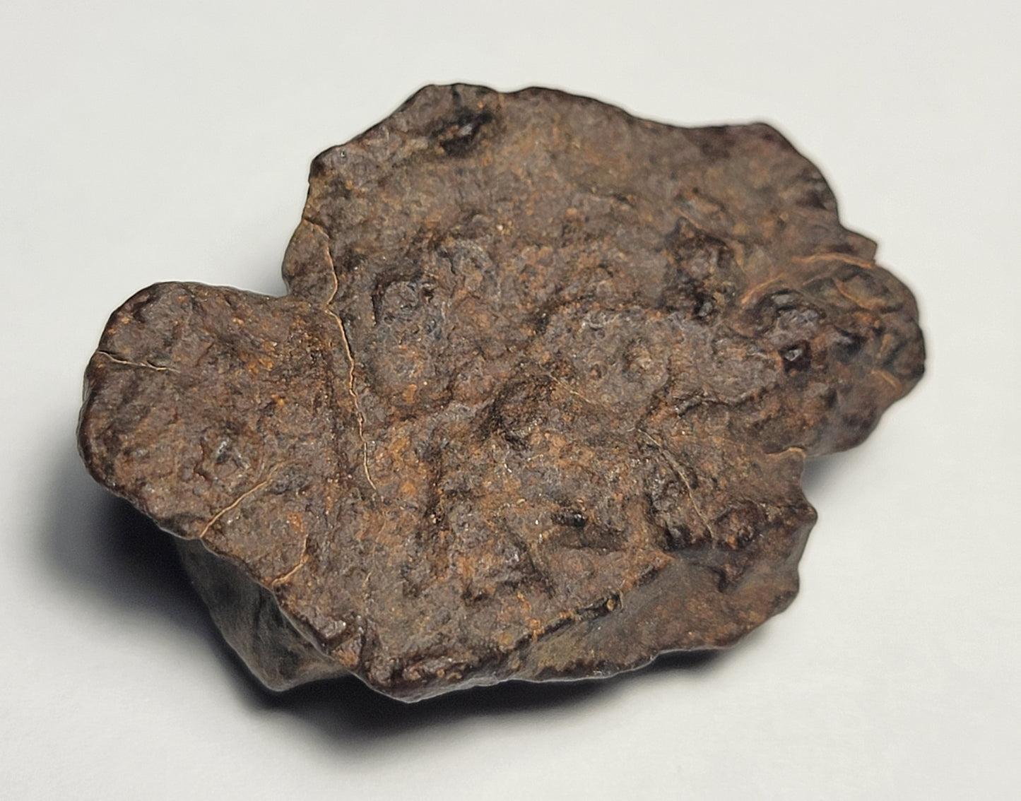 NWA 4528 Ordinary Chondrite H5 Meteorite 15.6g