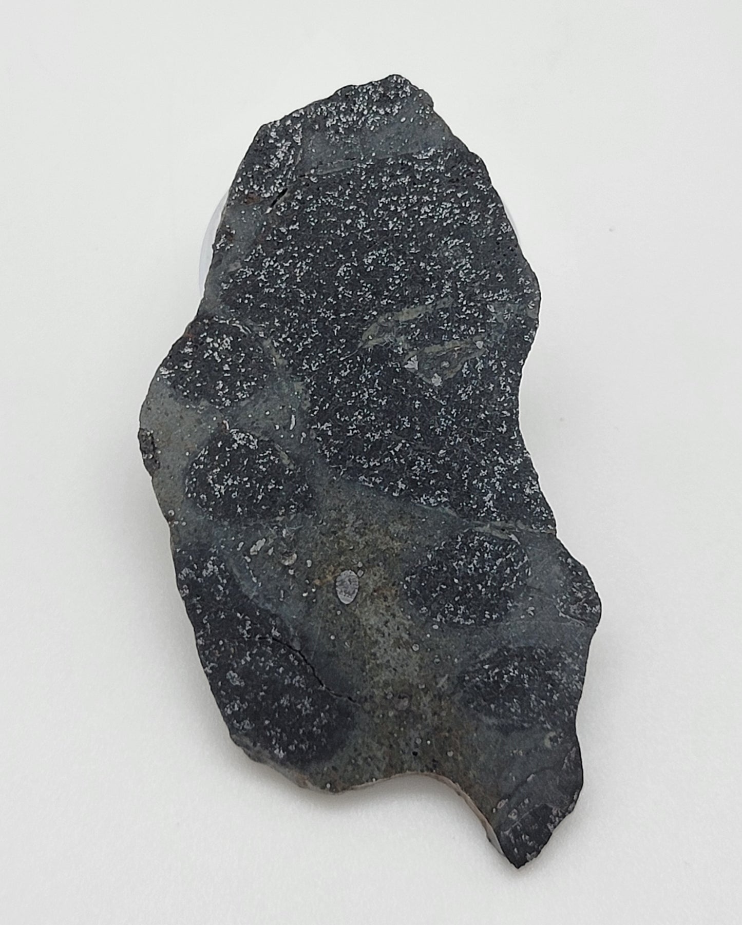 NWA 14488 Ordinary Chondrite H5 Melt Breccia Polished Slice 16g