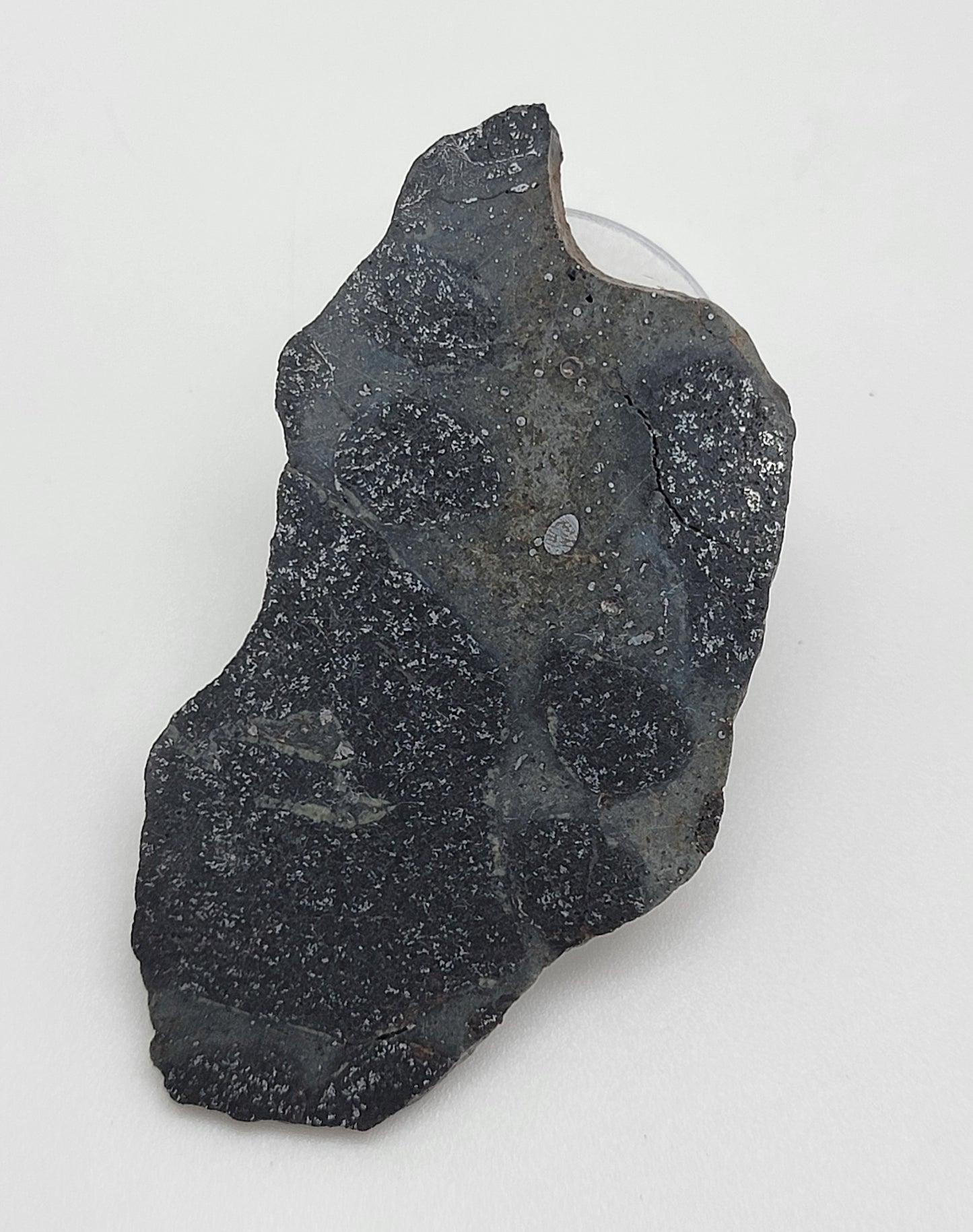 NWA 14488 Ordinary Chondrite H5 Melt Breccia Polished Slice 16g