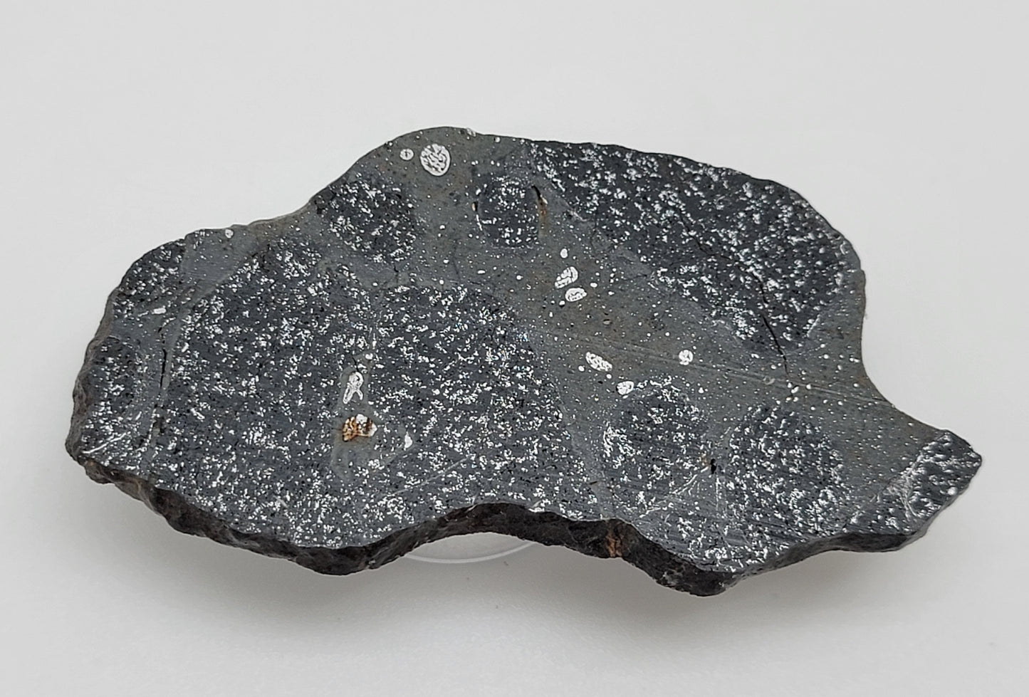 NWA 14488 Ordinary Chondrite H5 Melt Breccia Polished Slice 16g