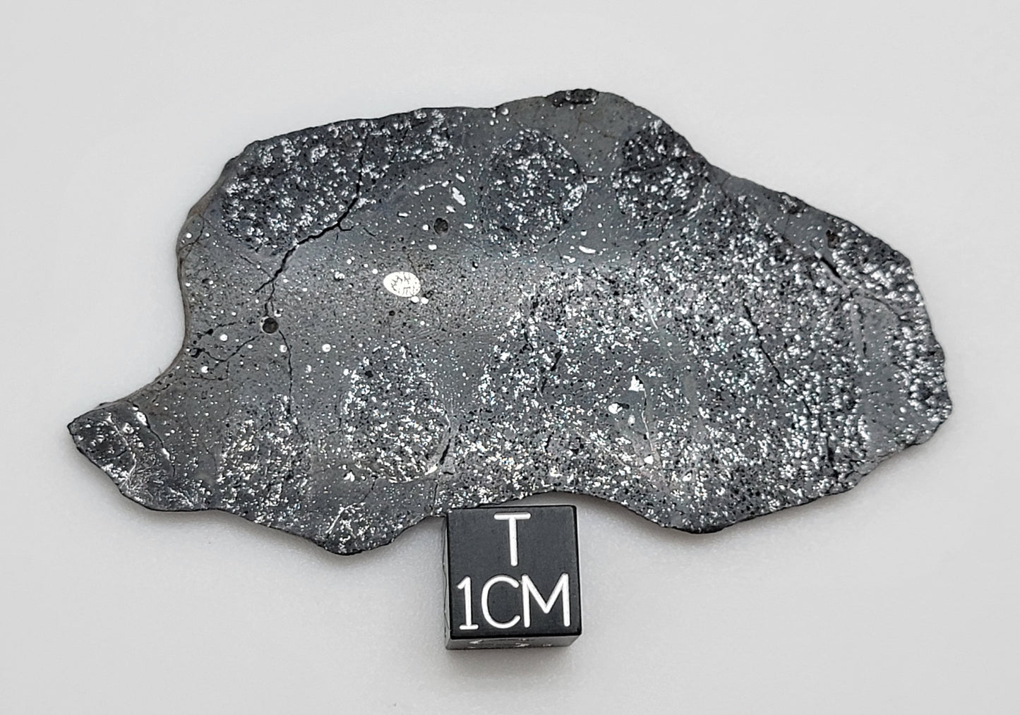 NWA 14488 Ordinary Chondrite H5 Melt Breccia Polished Slice 16g